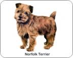 Norfolk Terrier Air Freshener
